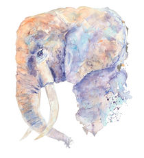 Elephant von Sveta Hubmann