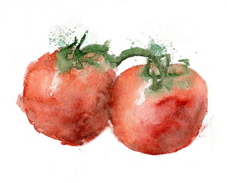 Tomato-soc6-72dpi