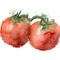 Tomato-soc6-72dpi