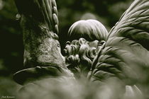 Fallen Angel by Normann Thielen