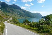 Norwegian Road in Sogn og Fjordane, Norway von Tobias Steinicke