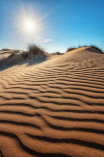 Die Sonne in der Wüste von Raid  Omar