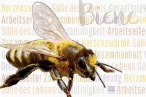 Biene - tanzende Arbeiterin von Astrid Ryzek