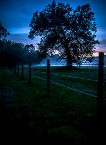 Foggy Evening in Vermont - Portrait by James Aiken