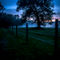 Faa-foggy-sunset-and-tree-james-aiken