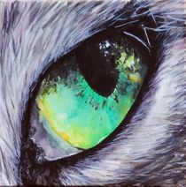 Husky Auge by philomena