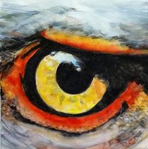 Vogel Auge by philomena