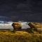 The-ox-stones-caught-in-storm-light-burbage-moor-the-peak-district-england-2