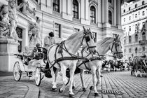 "Fiaker", hackney coach, horse drawn carriage in Vienna by Silvia Eder