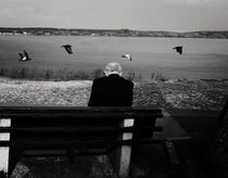 The man sitting on the bench by Daria Mladenovic