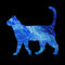 Blue-cat