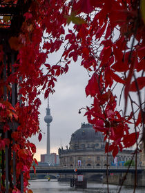 Berlin im Herbst von Franziska Mohr