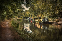 The Kennet and Avon Canal at Pewsey by Ian Lewis