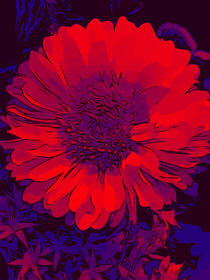 Blumen Poster Rotes Blumenbild von WelikeFlowers  von Robert H. Biedermann