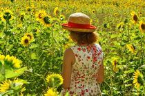 Sunflower girl by Claudia Evans