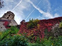 Herbst am Heidelberger Schloss  by farbfotografie