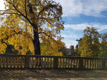 Herbst in Heidelberg  von farbfotografie