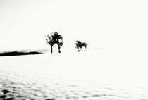 Verloren im Schnee by Regina Raaf