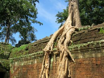 Angkor-wat-ta-prohm-2