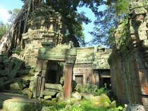 Königreich Kambodscha und Angkor Wat - Ta Prohm by Mellieha Zacharias