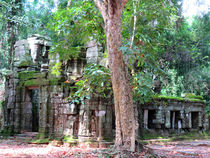 Königreich Kambodscha und Angkor Wat - Ta Prohm von Mellieha Zacharias