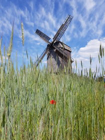 Mühle im Getreidefeld von farbfotografie