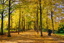 Herbstliche Promenade mit goldenem Laub in Münster Westfalen by Christian Kubisch