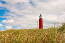 Sommerimpression Leuchtturm Texel von AD DESIGN Photo + PhotoArt