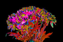 Abstract Flowers von David Toase