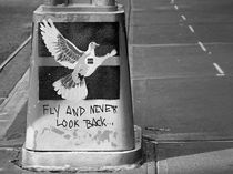 Fly and never look back by Frank Daske