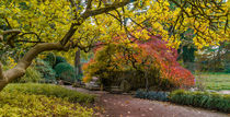 Herbst im Japangarten Karlsruhe von Stephan Gehrlein