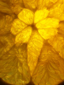 Apfelsine, Makrofotografie, Orange von Dagmar Laimgruber