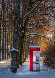 Red phonebooth by Nuno Borges