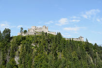 Festung Ehrenberg von Andreas Merchel