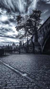 Morning under the Charles Bridge by Tomas Gregor