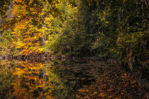 Herbstliche Spiegelung von Christine Horn