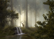 Waldgeheimnisse 2 von Simone Wunderlich