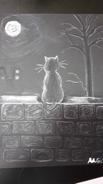 Katze im Mondlicht by ulrike0806