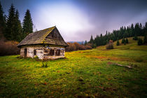Old wooden house by Zoltan Duray