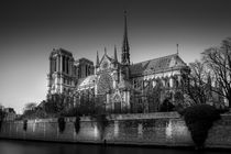 Notre Dame by Nuno Borges