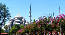 The blue mosque or Sultan Ahmed Mosque by ambasador