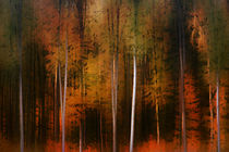 Herbstwaldrand von Bastian  Kienitz