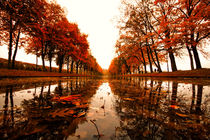 Der Herbst im Schweriner Schlossgarten.  von Stephan Darm