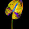 Abstract-anthurium-02