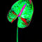 Abstract-anthurium-05