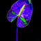 Abstract-anthurium-09