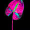 Abstract-anthurium-11