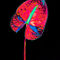 Abstract-anthurium-12