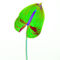 Abstract-anthurium-15