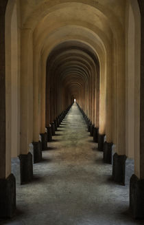 Passage of arches by Jarek Blaminsky